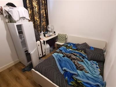 Picture 11